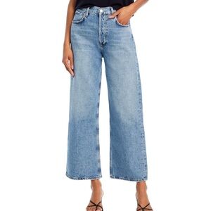 AGOLDE Ren High Rise Wide Leg Jeans in Disclosure